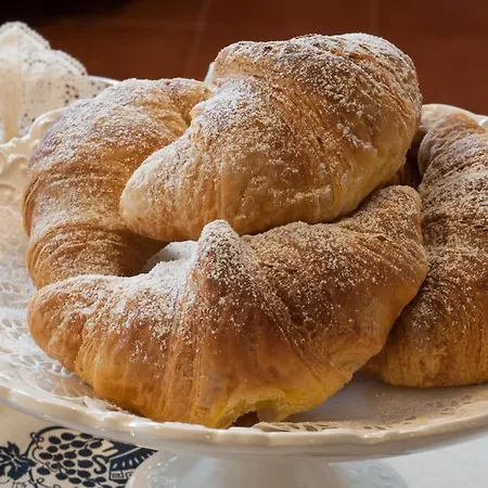 Alojamento de Acomodação e Pequeno-almoço Nettuno Olbia